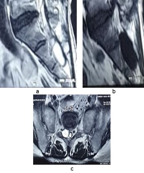 ojmpc_104_02.jpg