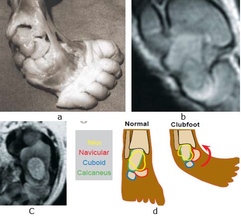 ojmpc_119_07.jpg