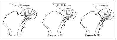 175_01.JPG