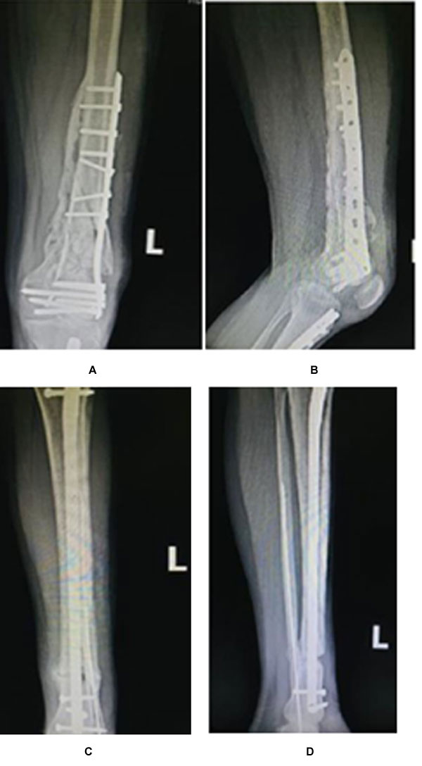 ojmpc_185_07.jpg