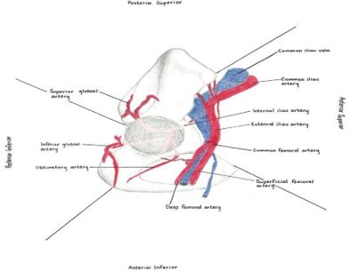ojmpc_191_06.JPG