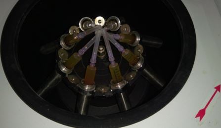 ojmpc_44_01.jpg