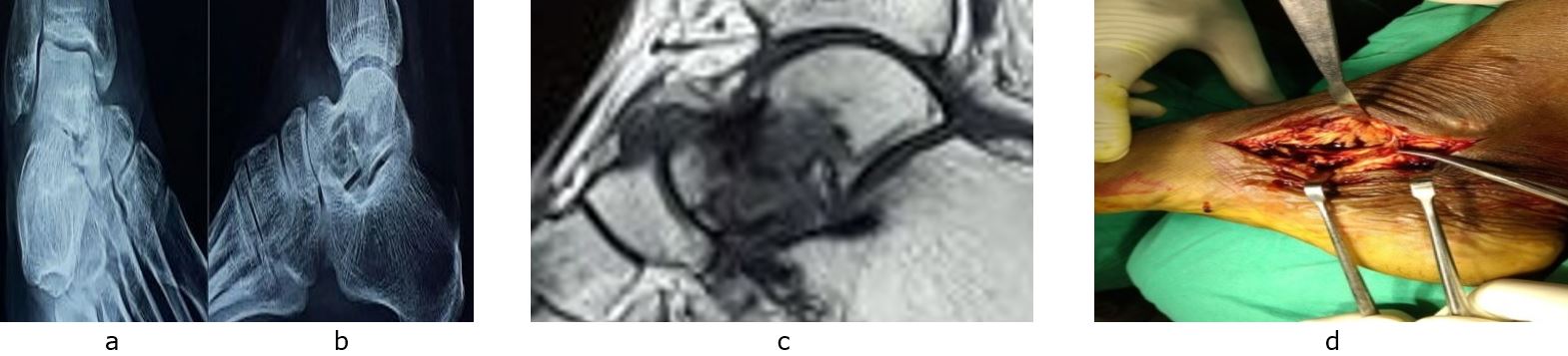 ojmpc_89_01.jpg